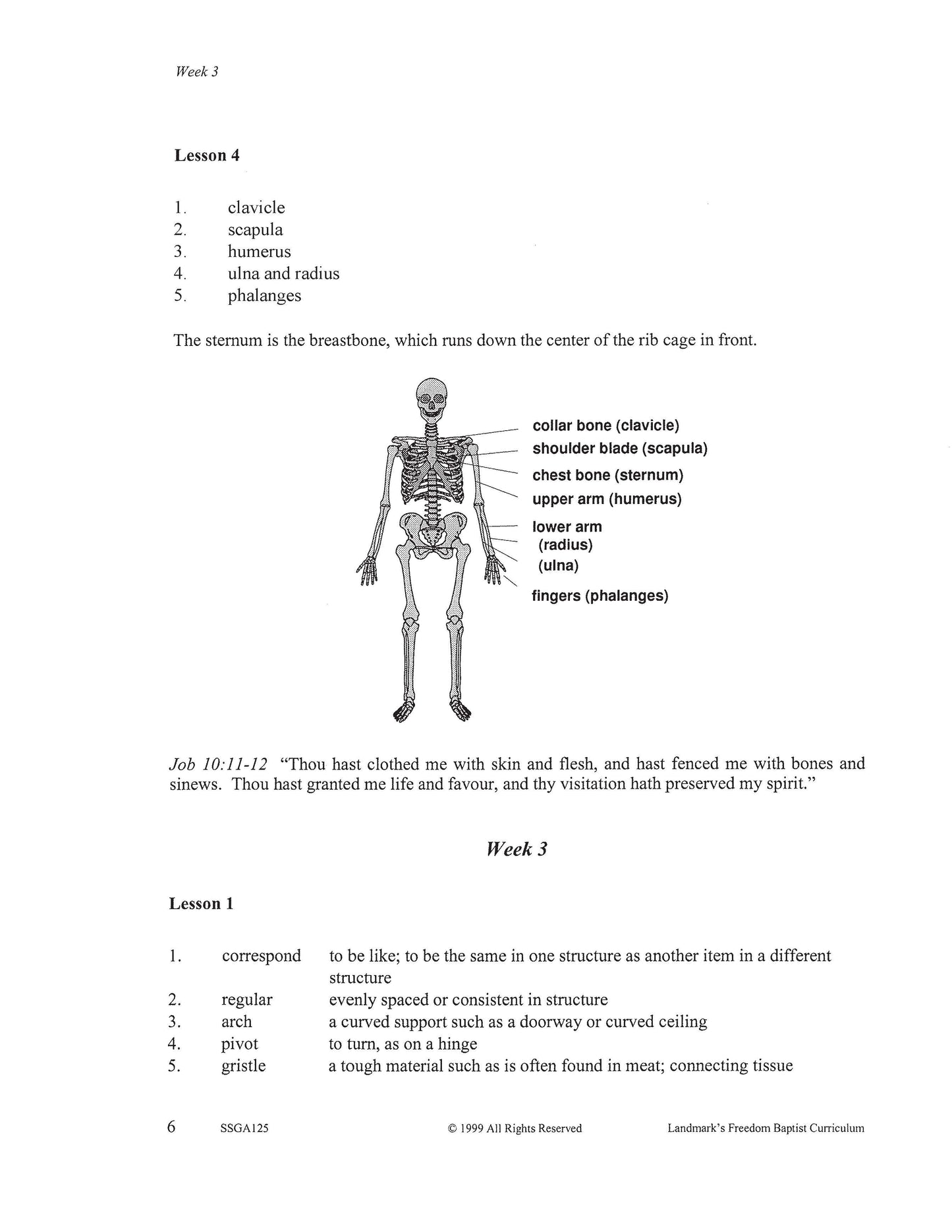 Science Grade 05 - Beginner's Physiology & Health