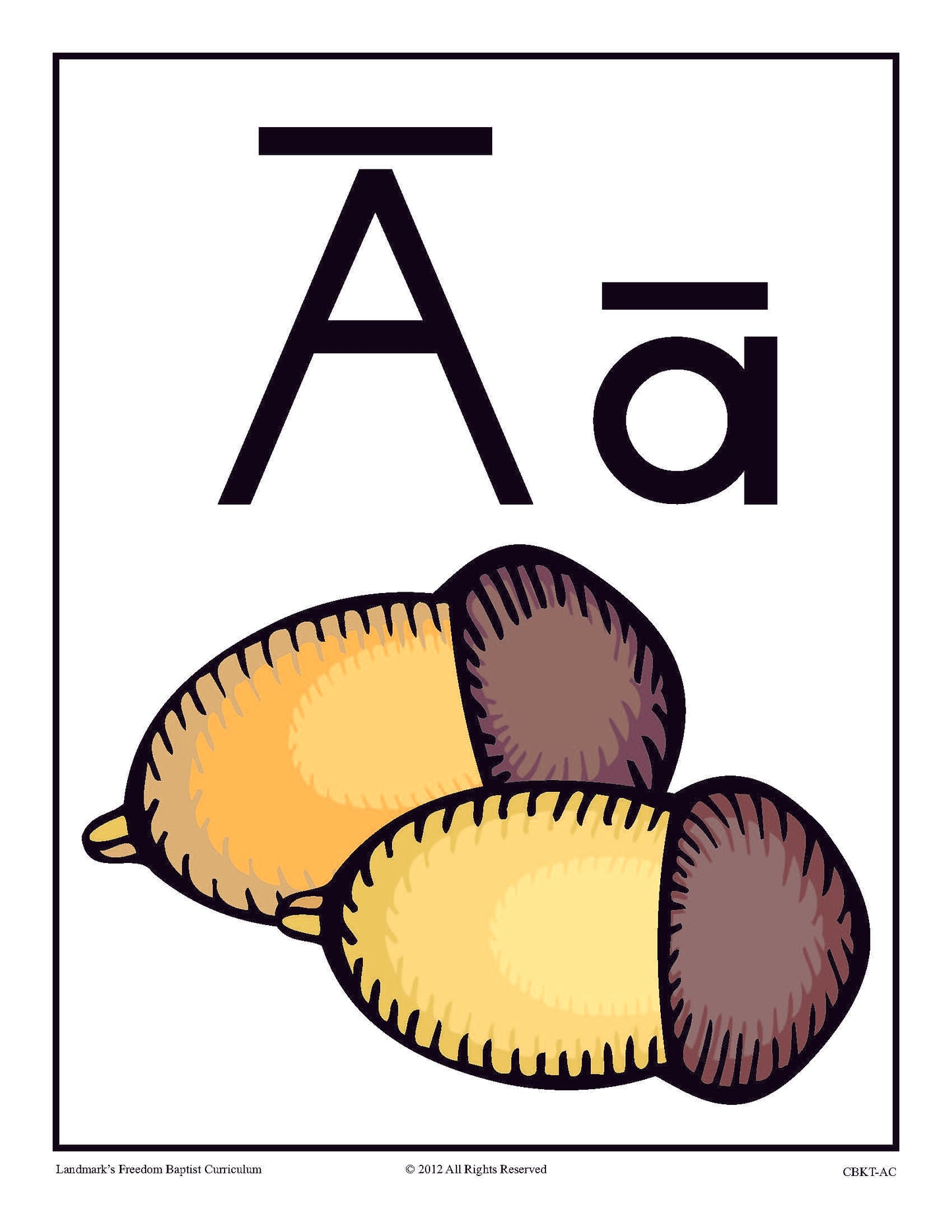 K5 Champion Baptist Kindergarten Teacher's Kit